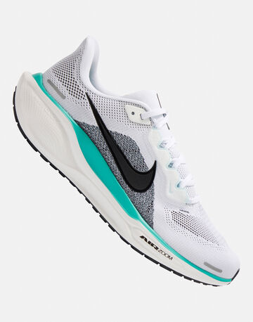 Mens Air Zoom Pegasus 41
